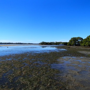 Flats at low tide