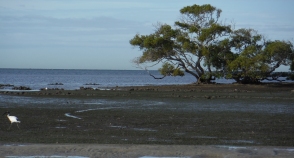 Low tide on the flats
