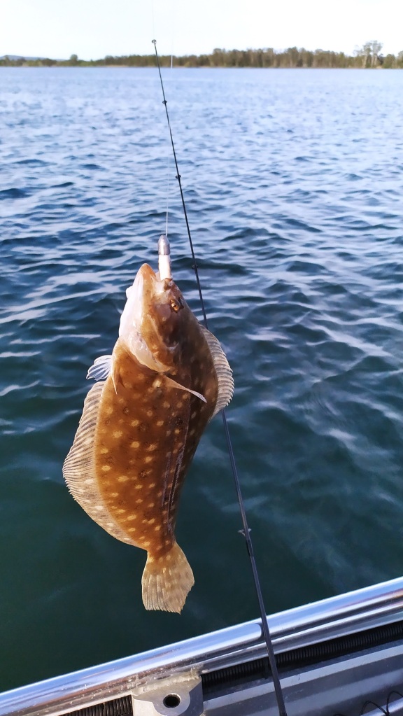 Landangler's Blog  Fishing from the shore – Australia